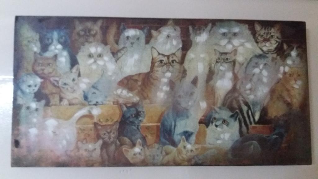 I Mici Di Emy Daire Katanya Dış mekan fotoğraf